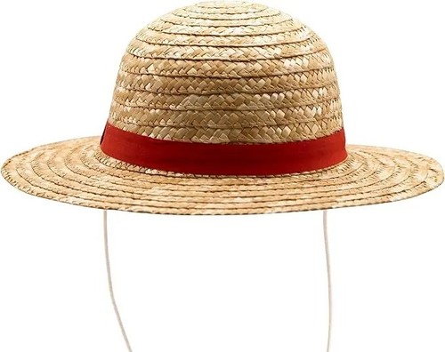 Summer hat cosplay party - summer,